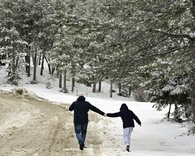 Χιόνια και παγωνιά