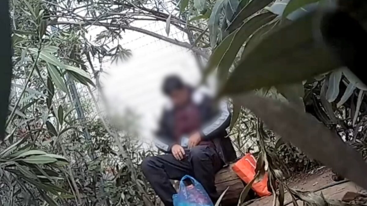 Μέλος εγκληματικής οργάνωσης