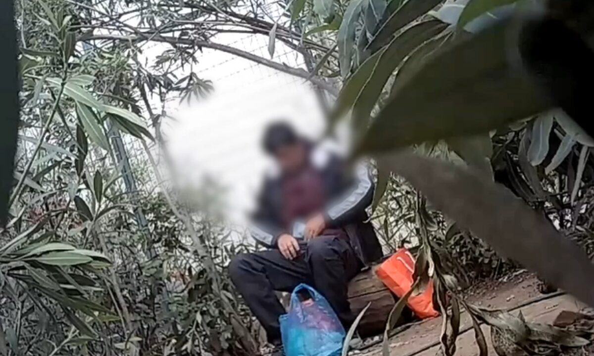 Μέλος εγκληματικής οργάνωσης