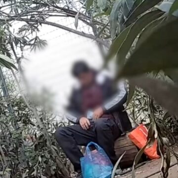 Μέλος εγκληματικής οργάνωσης