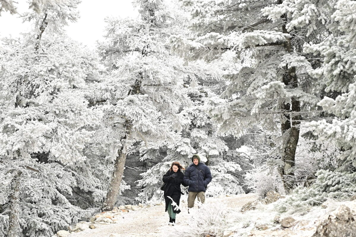 Στιγμιότυπο από την Πάρνηθα και την πρώτη χιονόπτωση της νέας χρονιάς, Δευτέρα 12 Ιανουαρίου 2026