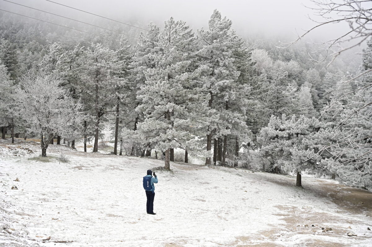 ΜΙΧΑΛΗΣ ΚΑΡΑΓΙΑΝΝΗΣ