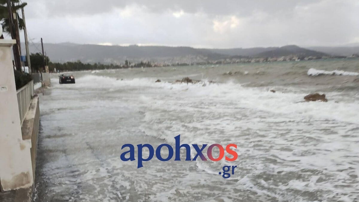 Εικόνα από το Μονοδένδρι στην Πάτρα - ΦΩΤΟ APOHXOS.GR