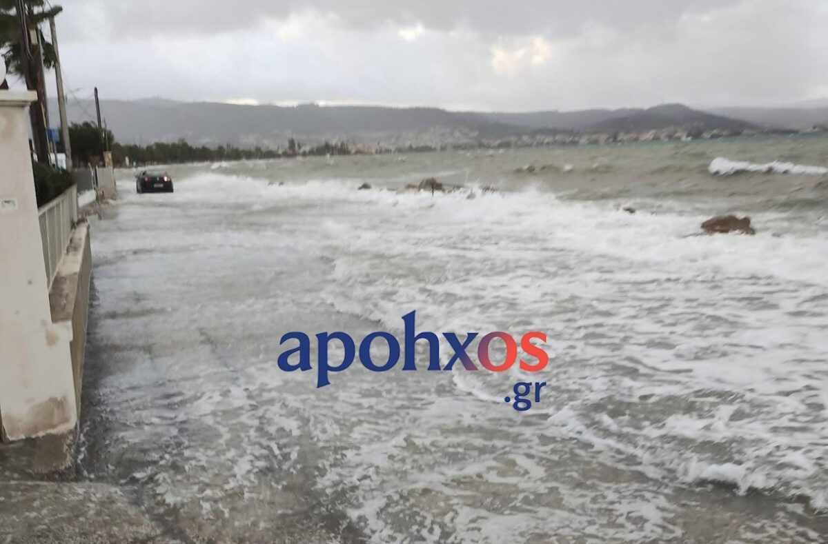 Εικόνα από το Μονοδένδρι στην Πάτρα - ΦΩΤΟ APOHXOS.GR