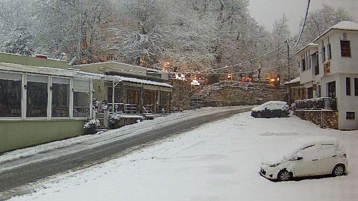 Χιόνια στην Πορταριά