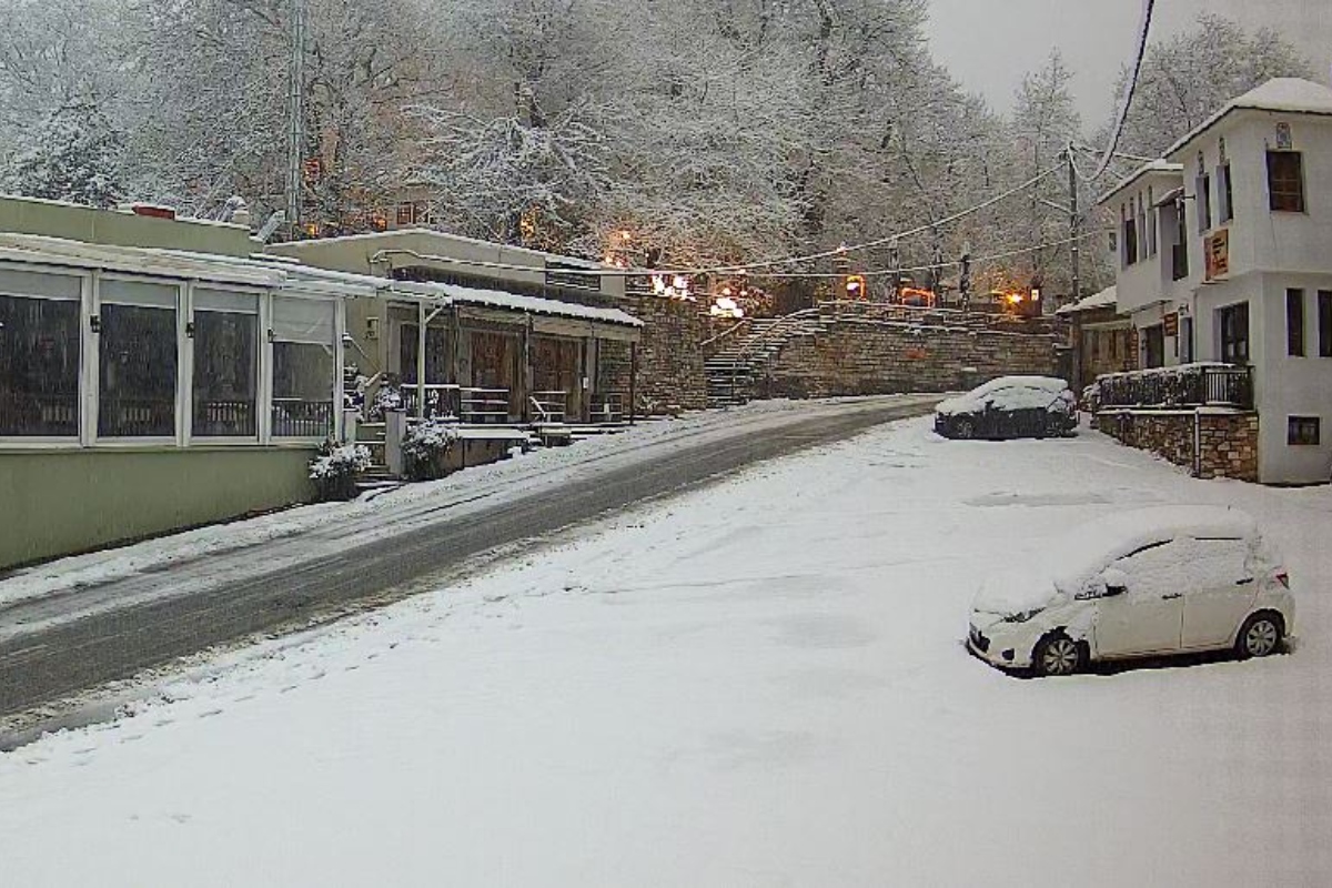 Χιόνια στην Πορταριά