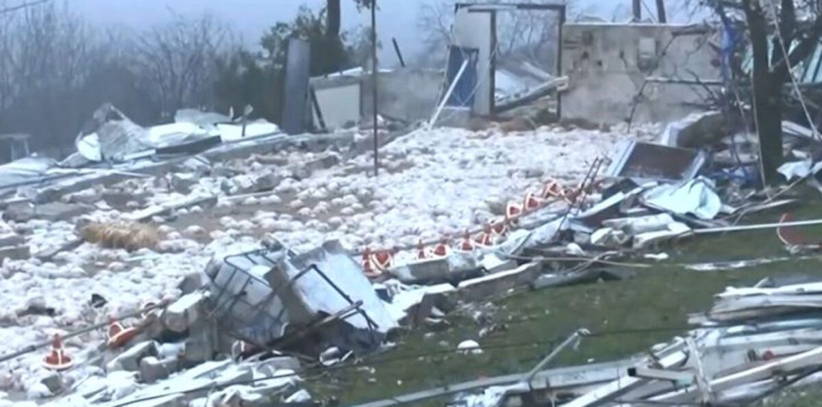 Το κατεστραμμένο πτηνοτροφείο στο Καλπάκι Ιωαννίνων μετά το πέρασμα ανεμοστρόβιλου