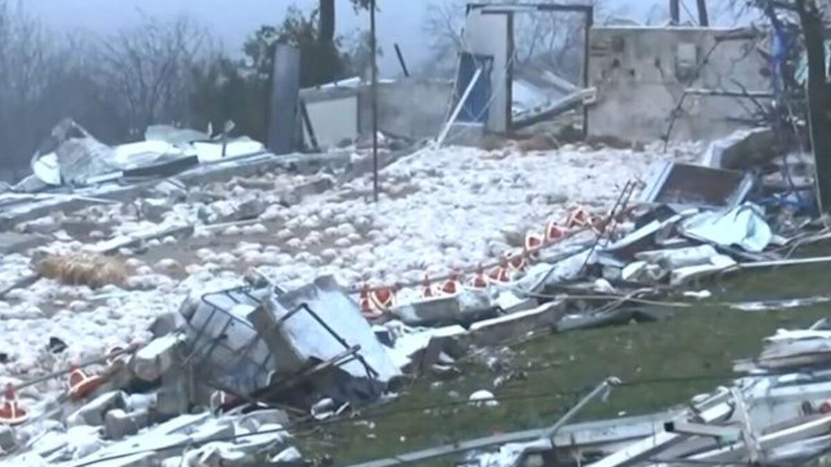 Το κατεστραμμένο πτηνοτροφείο στο Καλπάκι Ιωαννίνων μετά το πέρασμα ανεμοστρόβιλου