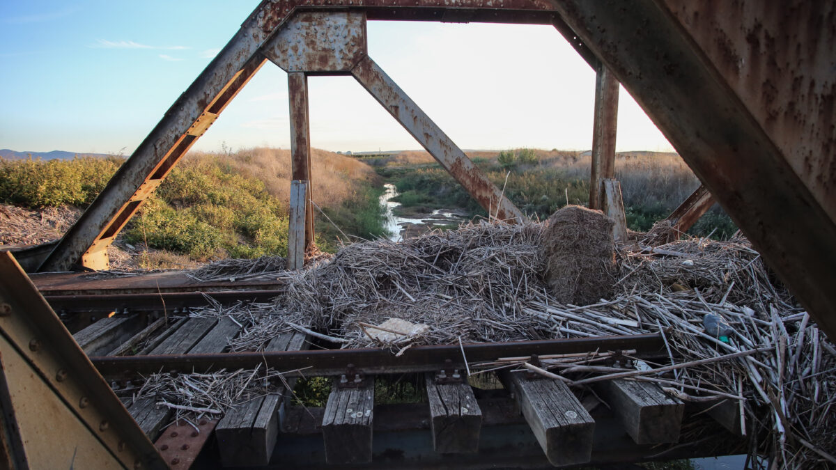 Ράγες τρένου