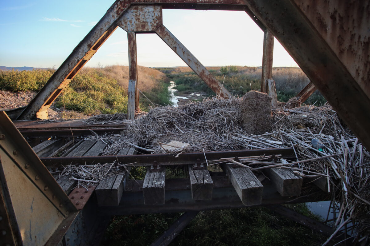 Ράγες τρένου