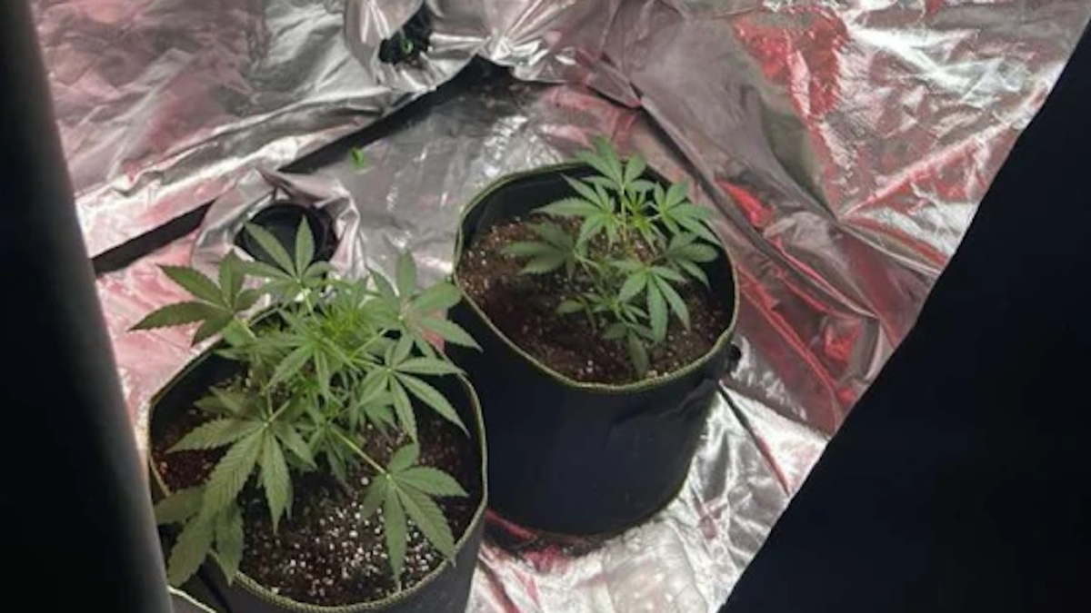 Εργαστήριο κάνναβης στη Ρόδο