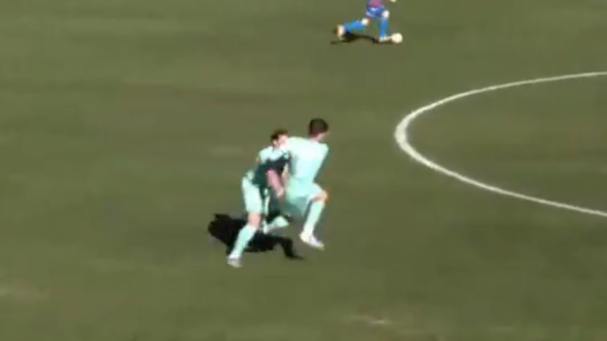 Το σπρώξιμο του Μπέρενς πάνω στον Κούτσια