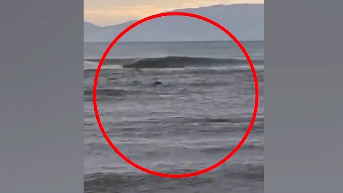 Ο ψαράς που σώθηκε από σέρφερ στον Στρυμόνα