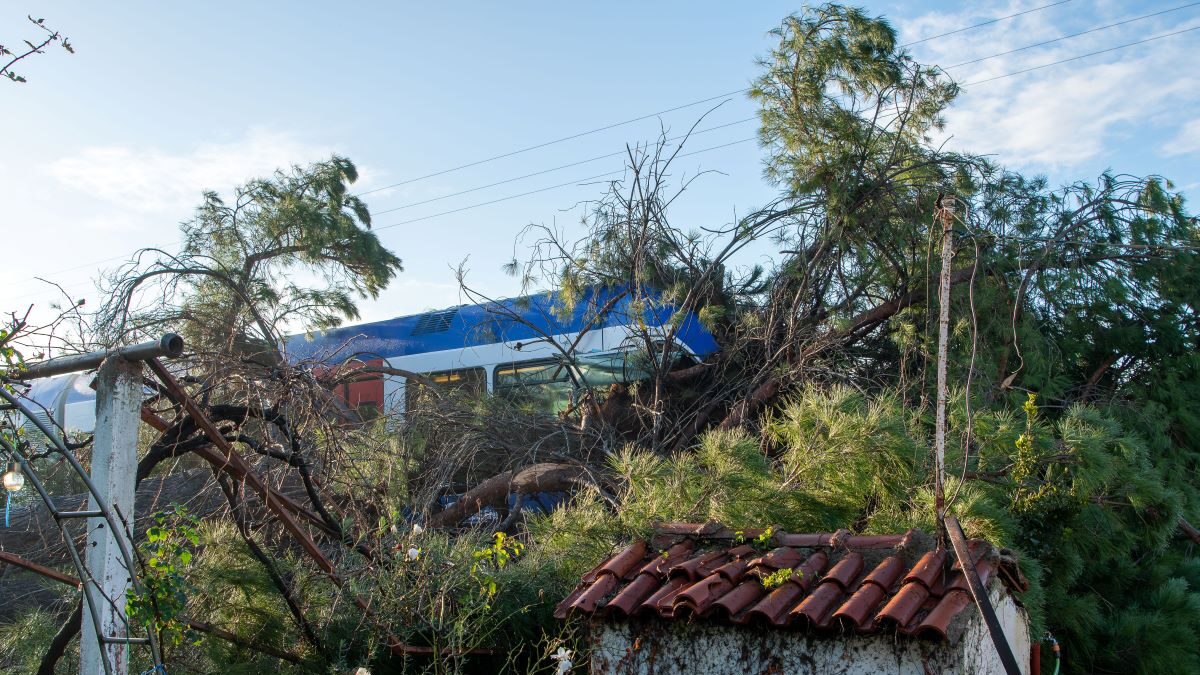 Μεγάλο πεύκο έπεσε σε τρένο στον Πύργο