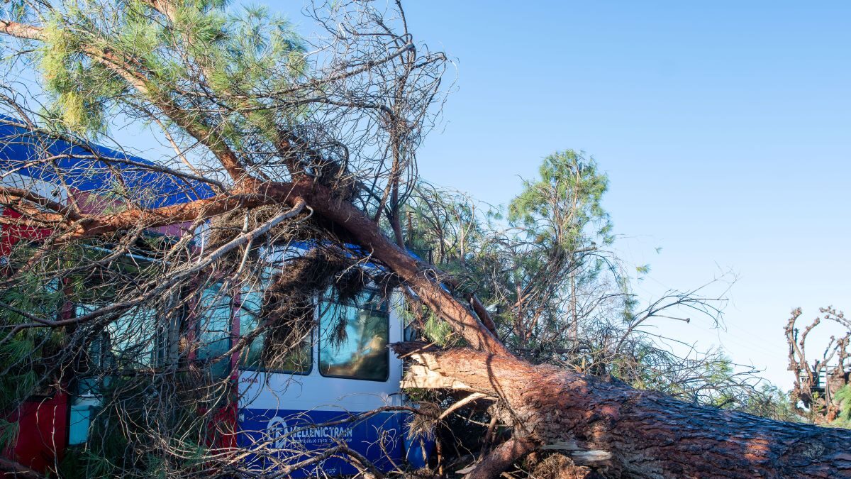 Πτώση δέντρου πάνω σε τρένο