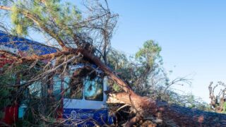 Πτώση δέντρου πάνω σε τρένο
