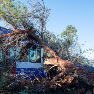 Πτώση δέντρου πάνω σε τρένο