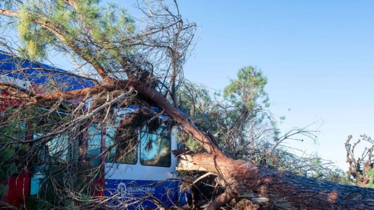 Πτώση δέντρου πάνω σε τρένο