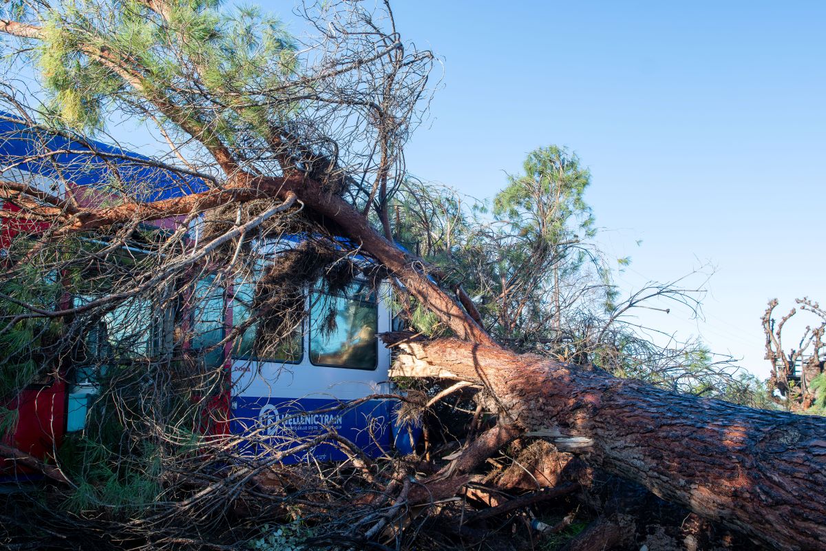 Πτώση δέντρου πάνω σε τρένο
