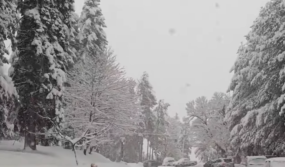 Χιόνι στον νομό Τρικάλων