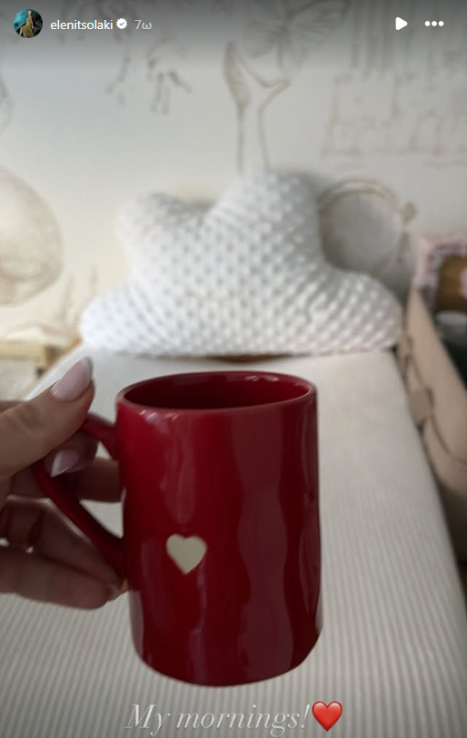 Η ανάρτηση της Ελένης Τσολάκη