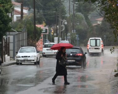 ΜΙΧΑΛΗΣ ΚΑΡΑΓΙΑΝΝΗΣ