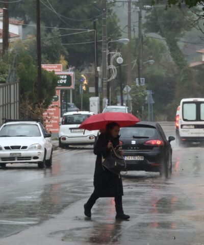 ΜΙΧΑΛΗΣ ΚΑΡΑΓΙΑΝΝΗΣ