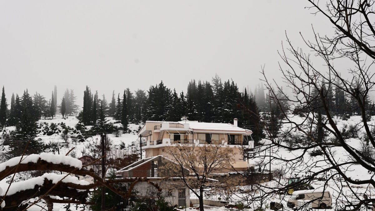 (ΜΙΧΑΛΗΣ ΚΑΡΑΓΙΑΝΝΗΣ