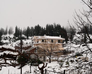 (ΜΙΧΑΛΗΣ ΚΑΡΑΓΙΑΝΝΗΣ