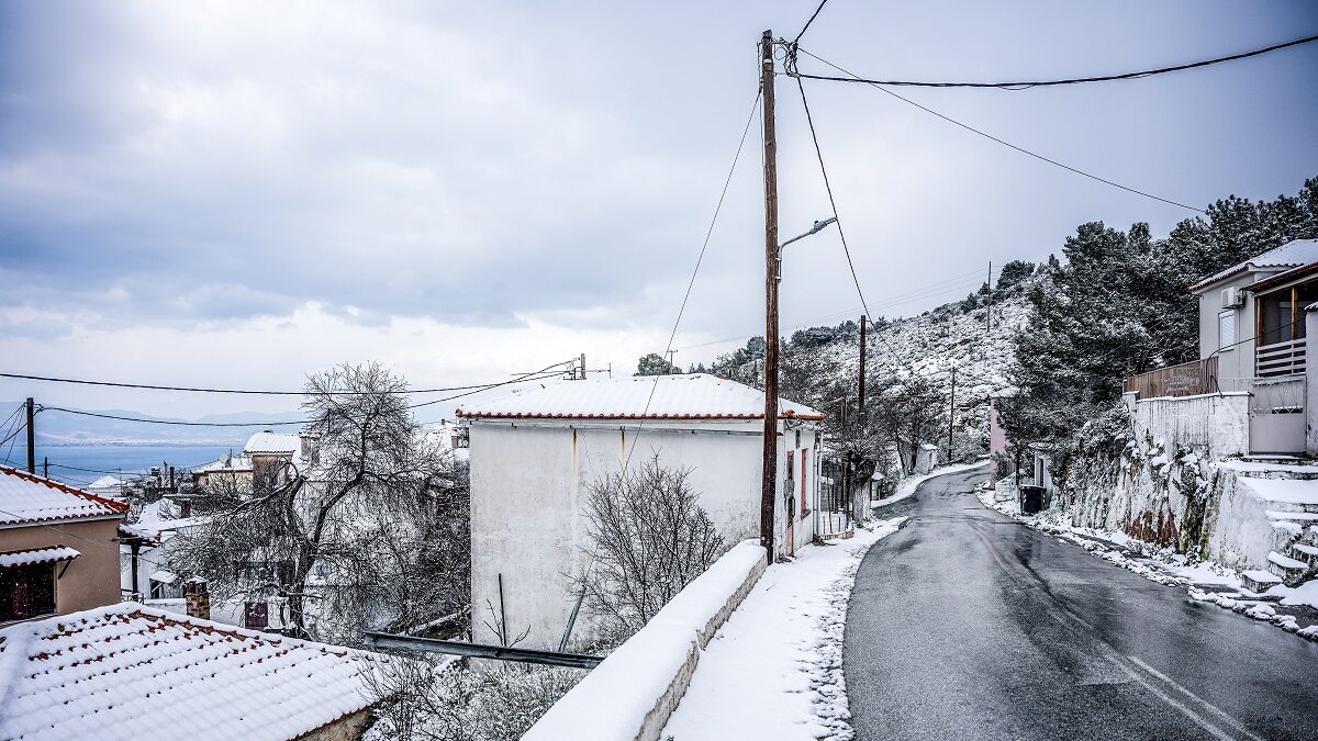 ΦΩΤΟ ΑΡΧΕΙΟΥ ΠΑΝΑΓΙΩΤΗΣ ΜΠΑΛΑΣΚΑΣ