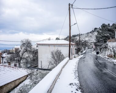 ΦΩΤΟ ΑΡΧΕΙΟΥ ΠΑΝΑΓΙΩΤΗΣ ΜΠΑΛΑΣΚΑΣ