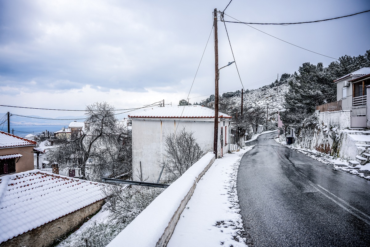 ΦΩΤΟ ΑΡΧΕΙΟΥ ΠΑΝΑΓΙΩΤΗΣ ΜΠΑΛΑΣΚΑΣ