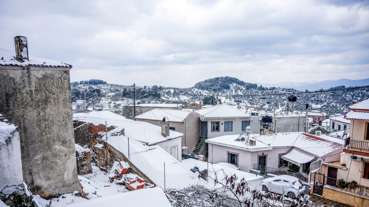 ΠΑΝΑΓΙΩΤΗΣ ΜΠΑΛΑΣΚΑΣ