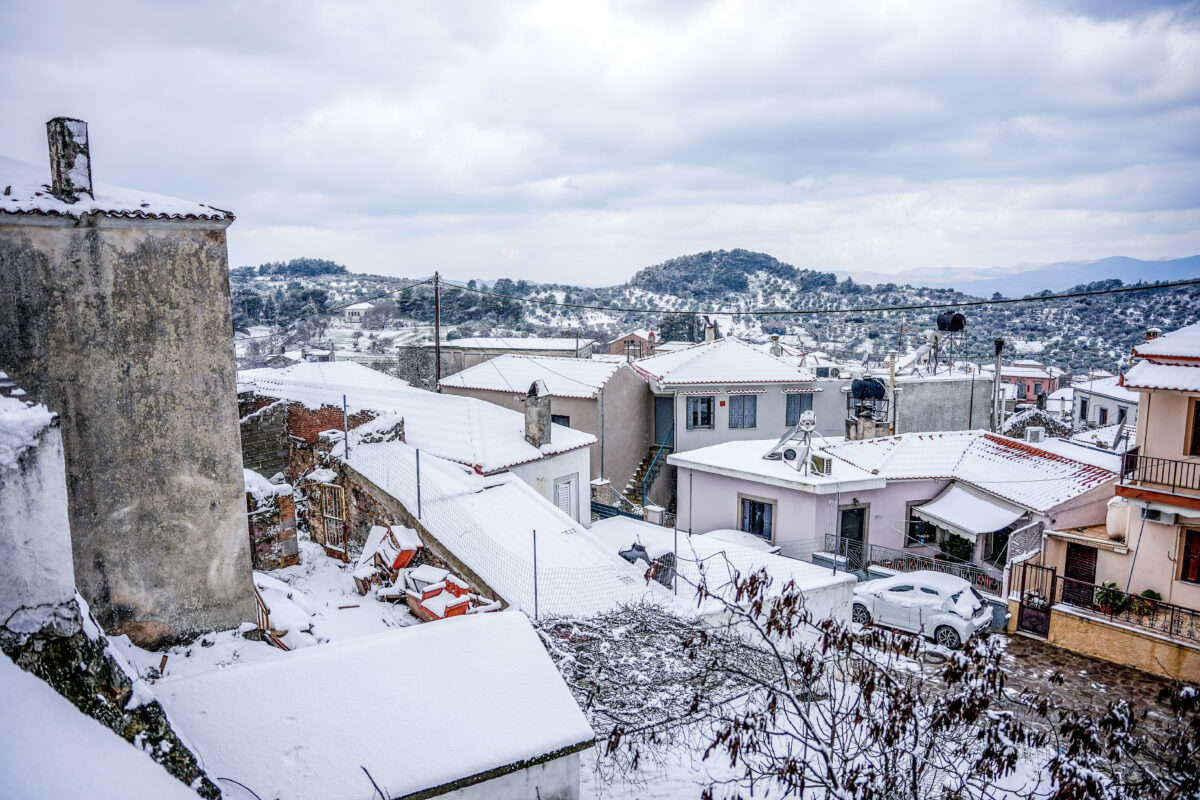ΠΑΝΑΓΙΩΤΗΣ ΜΠΑΛΑΣΚΑΣ