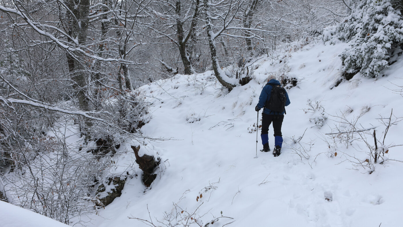 Χιόνια στον Χορτιάτη