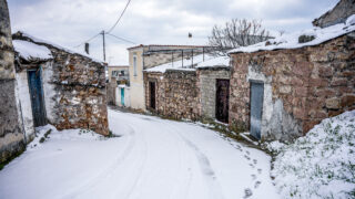  (ΠΑΝΑΓΙΩΤΗΣ ΜΠΑΛΑΣΚΑΣ