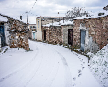  (ΠΑΝΑΓΙΩΤΗΣ ΜΠΑΛΑΣΚΑΣ