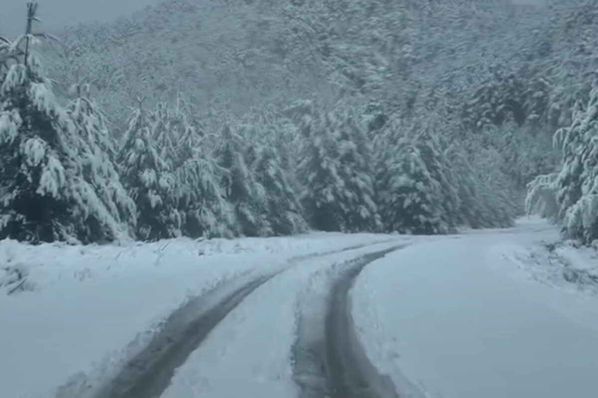 Χιόνια στα Ζαγοροχώρια