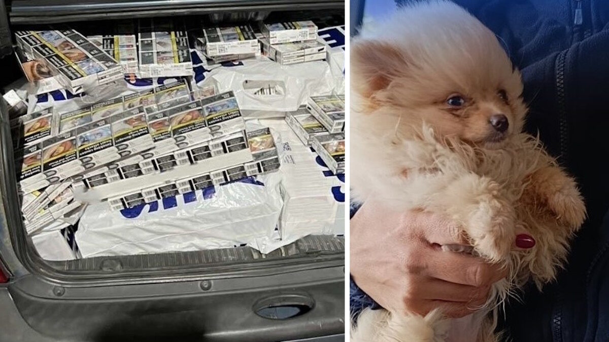 Αριστερά κάποια από τα χρήματα που βρέθηκαν και δεξιά ο Έλβις