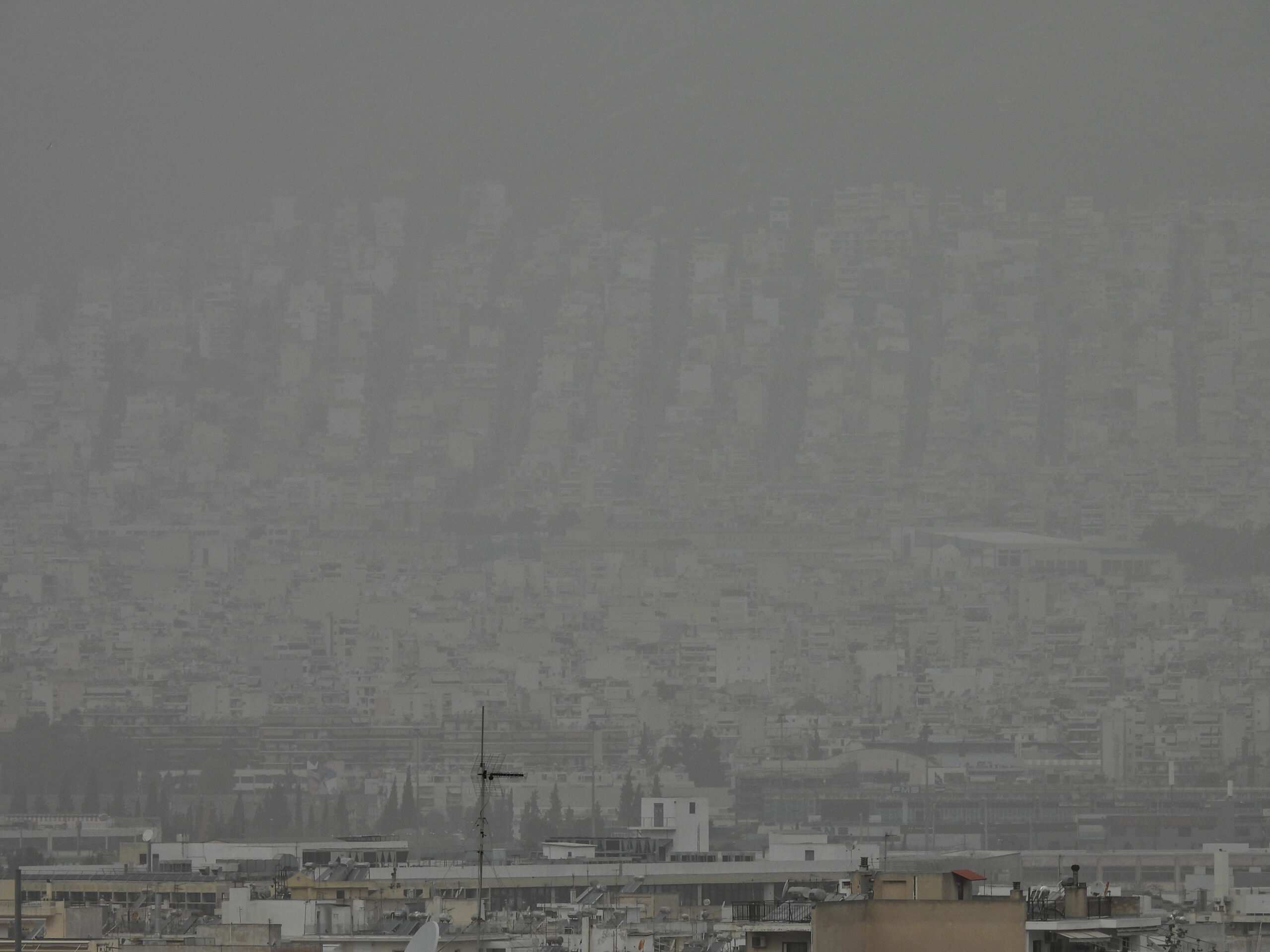 ΑΘΗΝΑ ΑΦΡΙΚΑΝΙΚΗ ΣΚΟΝΗ