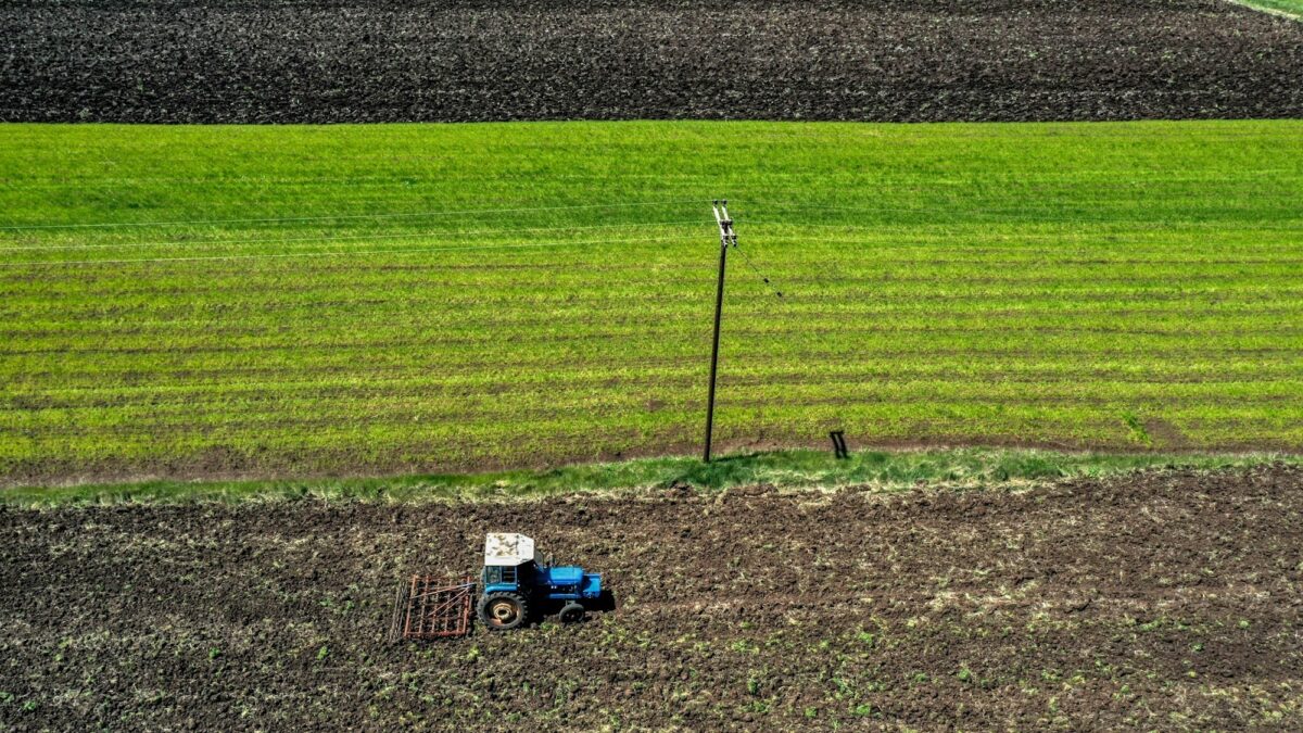 Θεσσαλικός κάμπος
