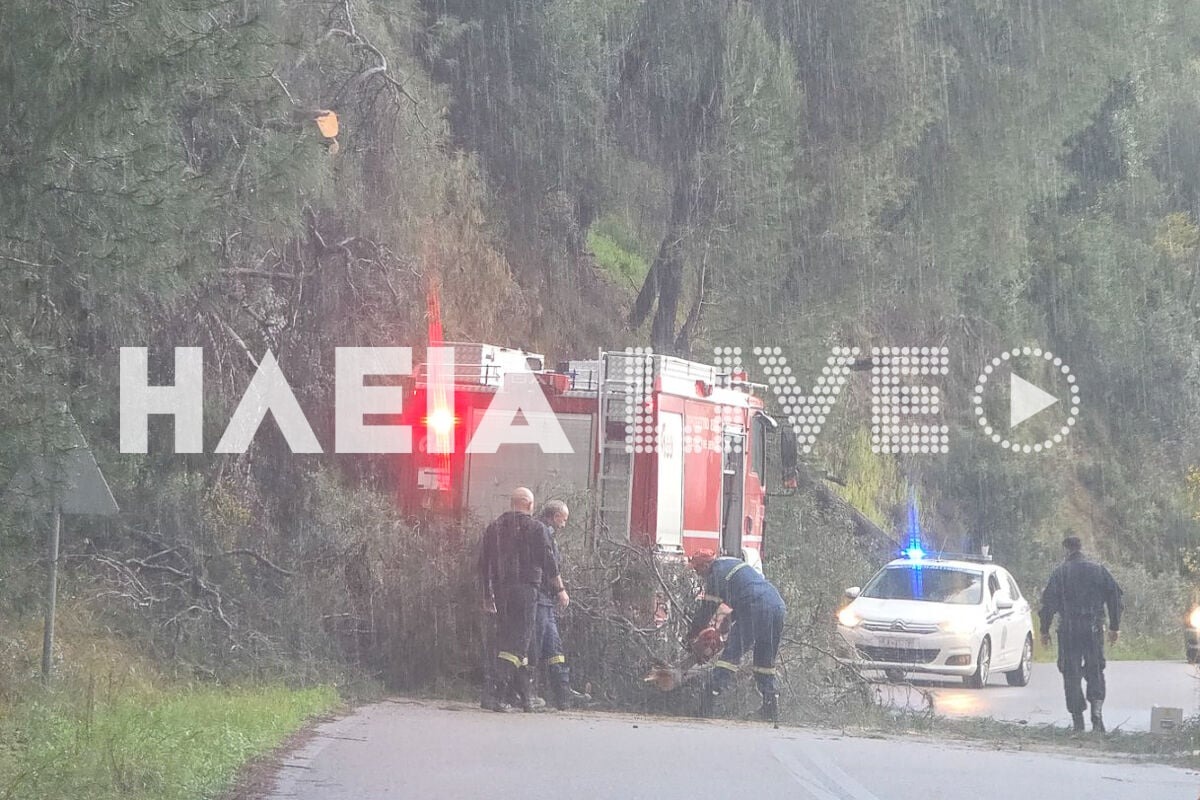 alfeiousa kakokairia