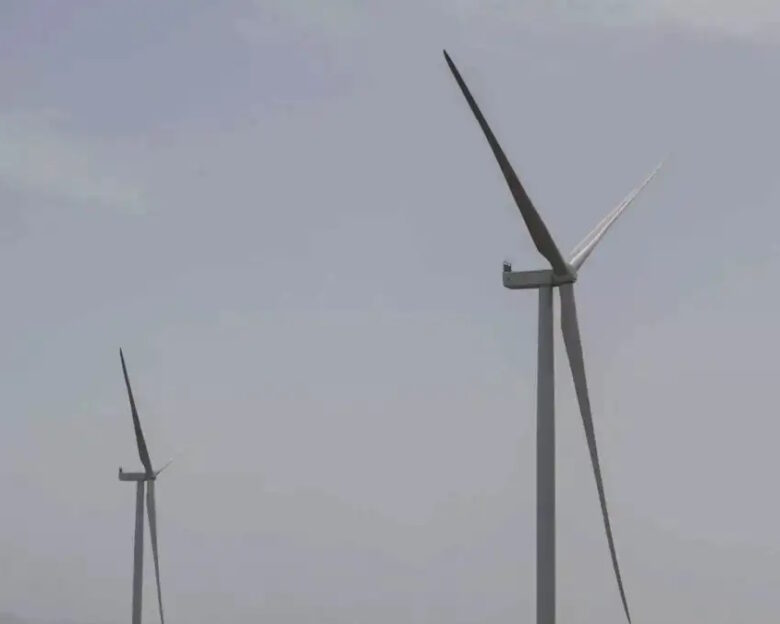 ΠΑΝΑΓΙΩΤΗΣ ΣΤΟΛΗΣ