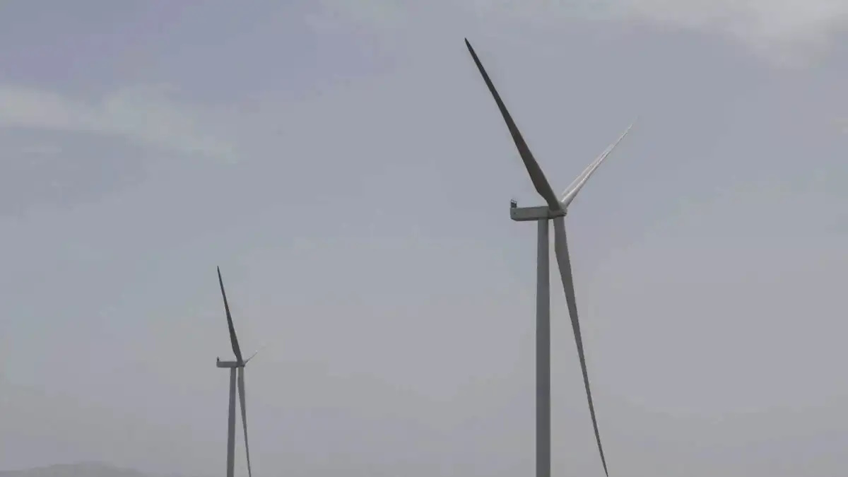 ΠΑΝΑΓΙΩΤΗΣ ΣΤΟΛΗΣ