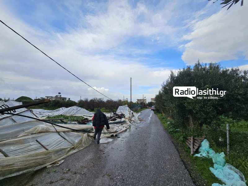 anemostrovilos livadia