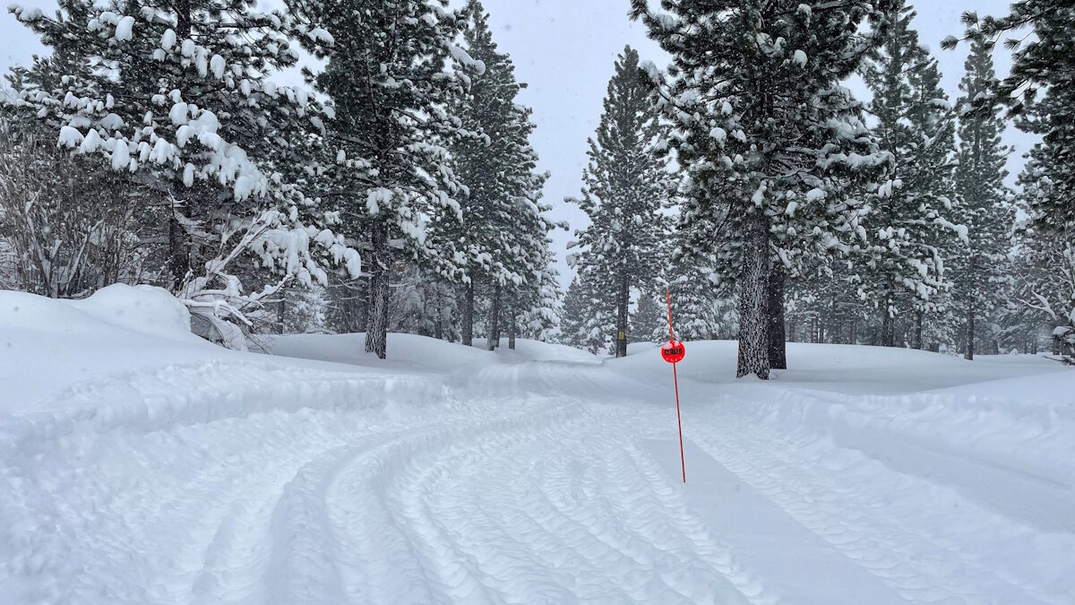Ίχνη από οχήματα Snow Cat μεταφέρουν ομάδες διάσωσης των σκιέρ μετά από χιονοστιβάδα σε πλαγιά των βουνών της Σιέρα Νεβάδα στην Καλιφόρνια