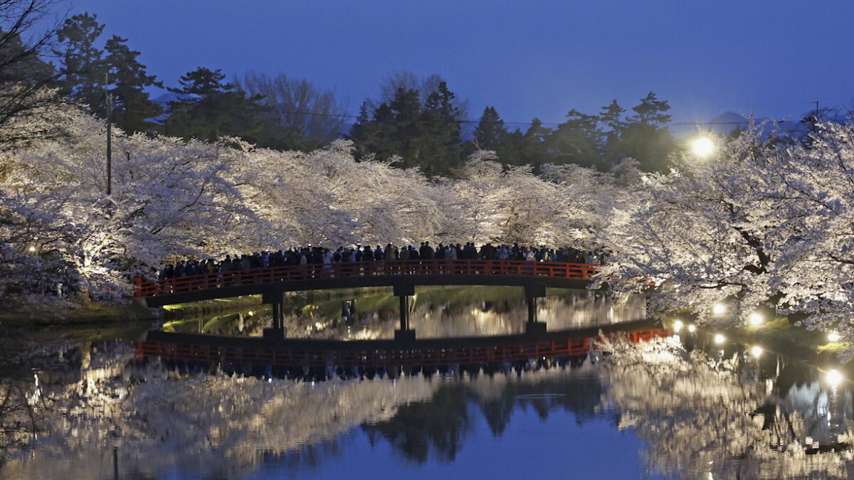 Κερασιές στην Ιαπωνία