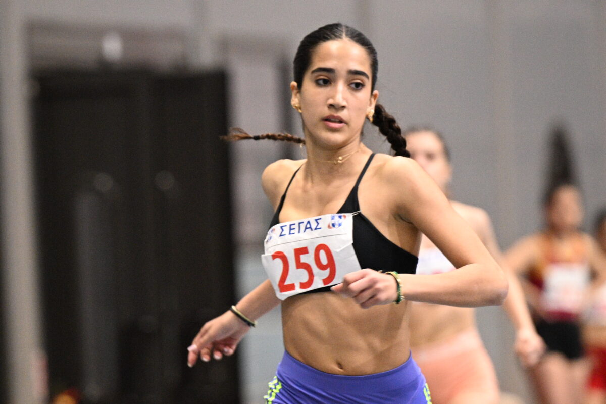 ΗΜΕΡΙΔΑ ΚΛΕΙΣΤΟΥ ΣΤΙΒΟΥ ΣΤΗΝ ΠΑΙΑΝΙΑ (ΑΝΤΩΝΗΣ ΝΙΚΟΛΟΠΟΥΛΟΣ