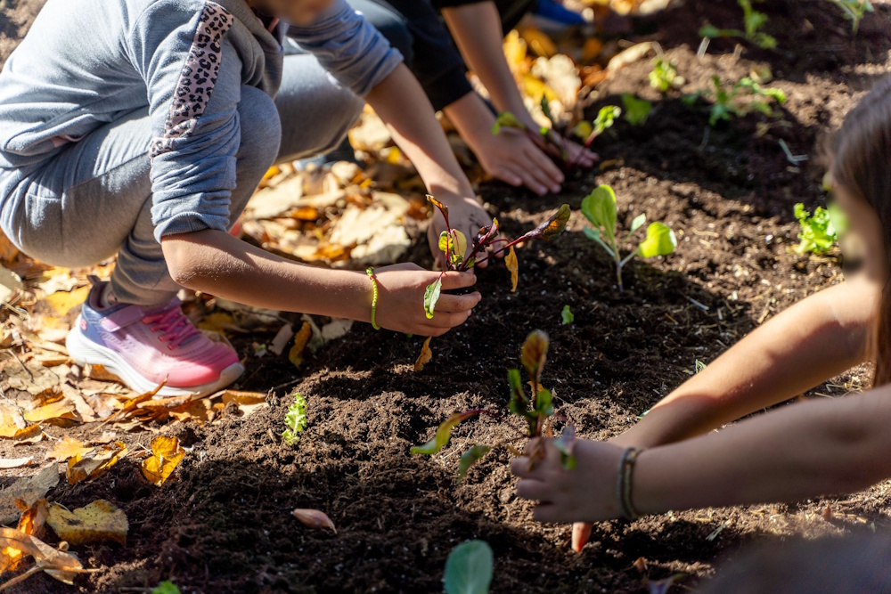 deh carbon farming schools