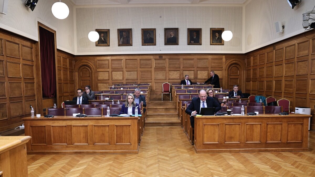 Εξεταστική Επιτροπή ΟΠΕΚΕΠΕ